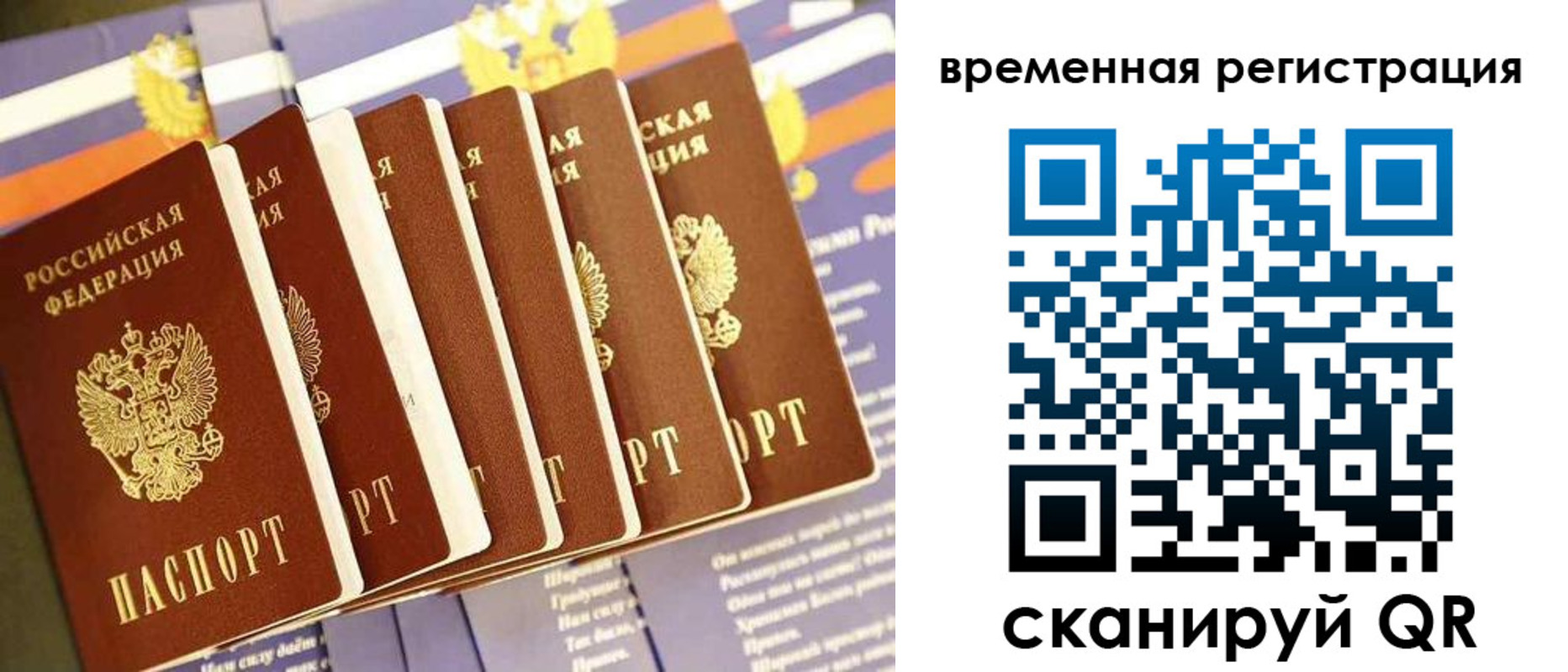 временная регистрация поиск в Жердевке